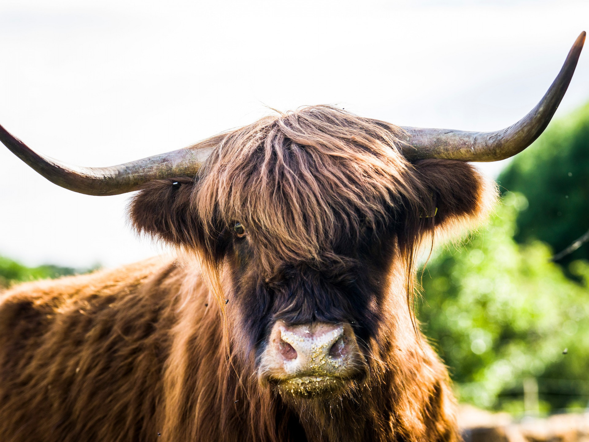 Balgownie
Farm
Tours