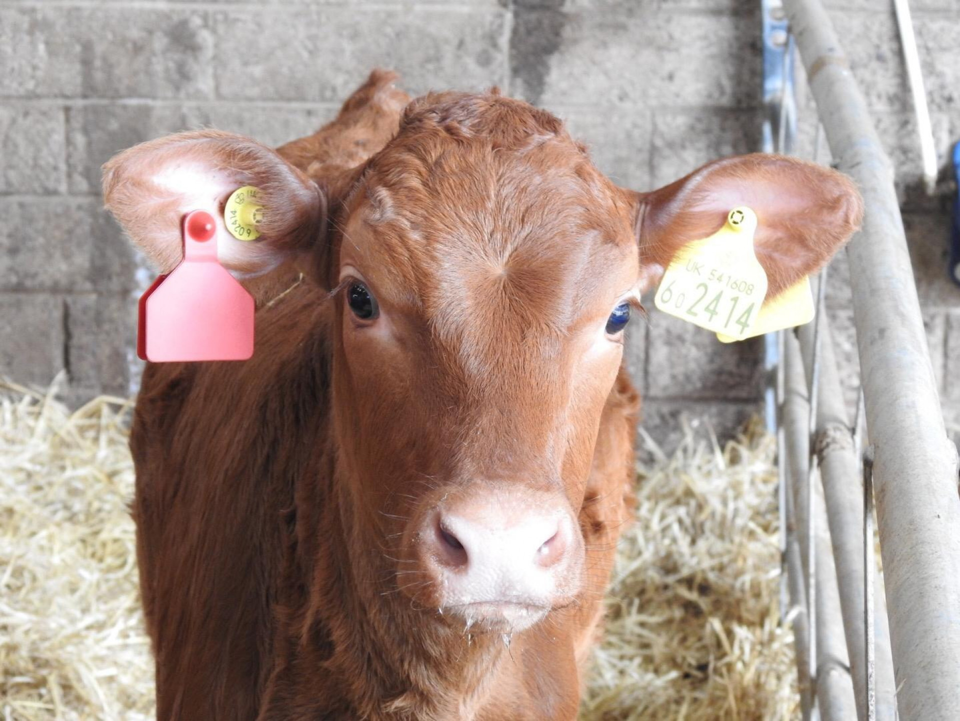 Balgownie
Farm
Tour